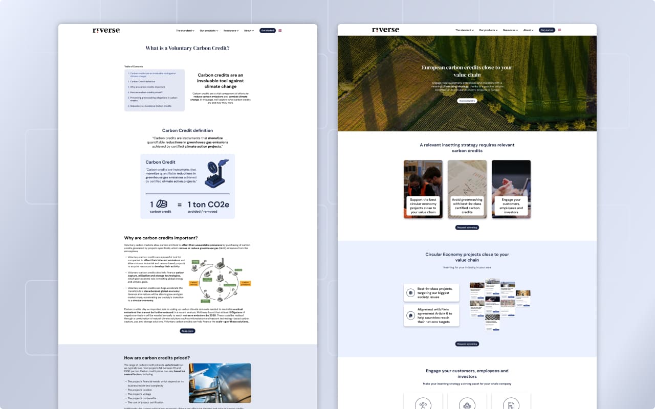 Riverse website Portfolio Elia Saltarello