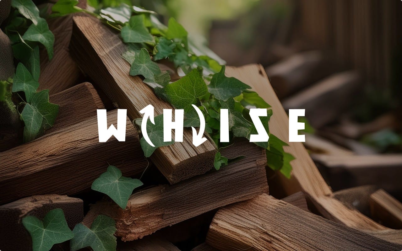 Visual identity WHISE Elia Saltarello Portfolio