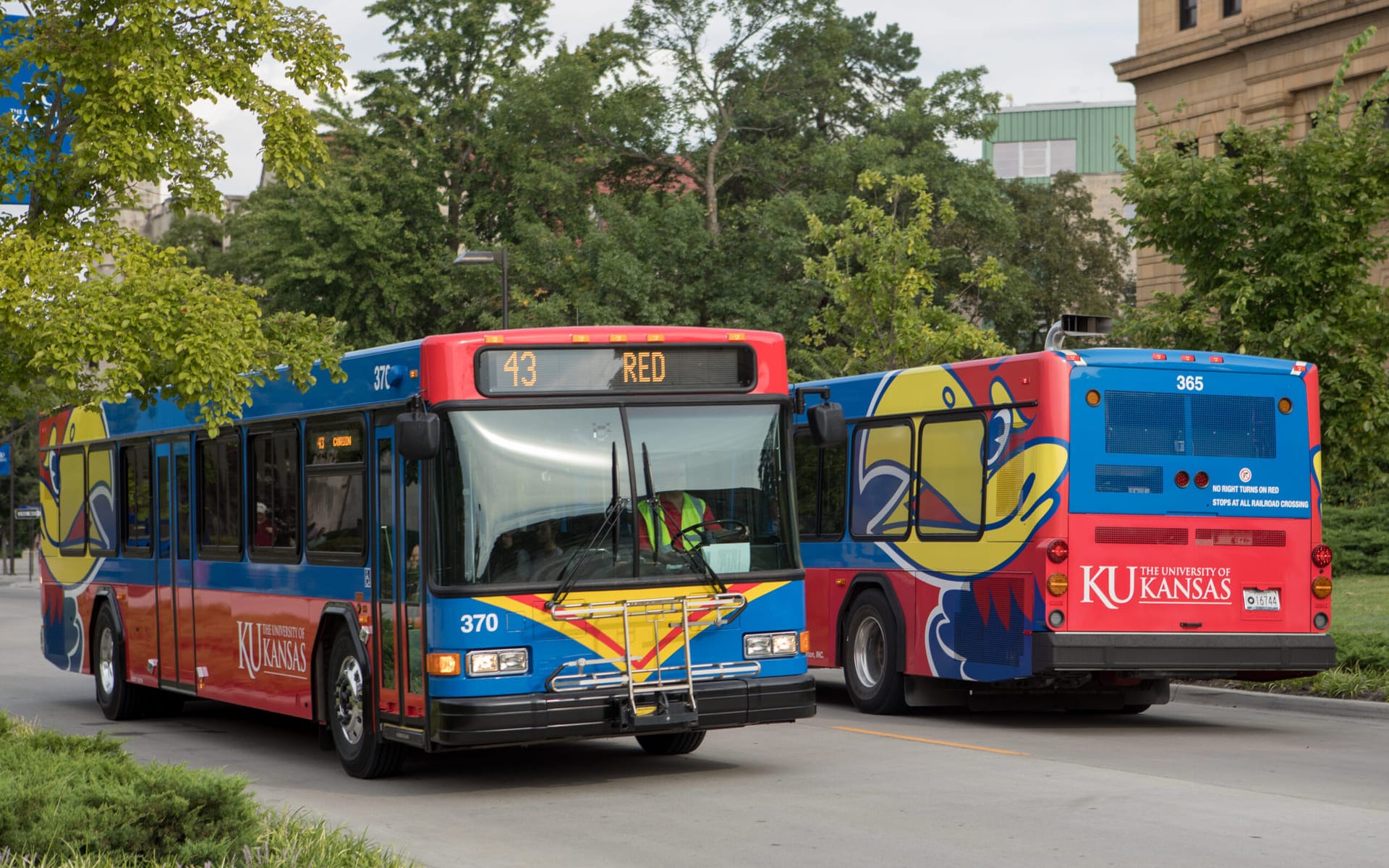 Busses in UX research by Elia Saltarello